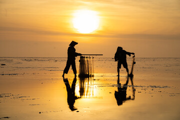Fishermen at Quang Lang beach, Thai Binh, casting nets at sunrise. A glimpse into coastal life and...