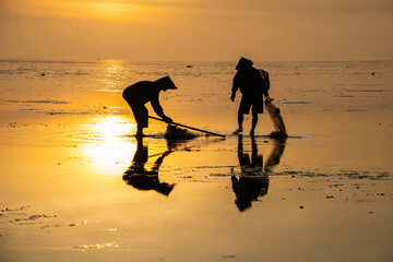 Fishermen at Quang Lang beach, Thai Binh, casting nets at sunrise. A glimpse into coastal life and...