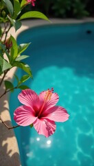 Pink hibiscus blooms gently sway in the calm blue waters of an elegant swimming pool, poolside decoration, blooming flowers, floral arrangement