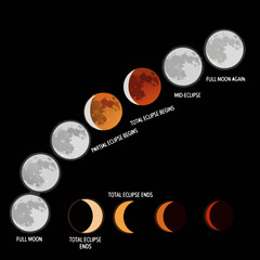 Colorful vector illustration of the moons phases and a total lunar eclipse sequence showing the blood moon.