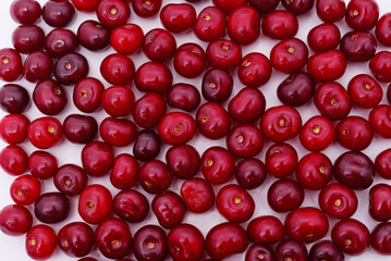 Ripe red cherries.