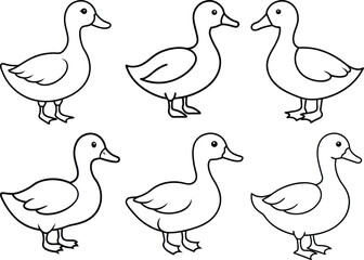 Black and White Duck Drawing – Clean and Simple Line Art Vector