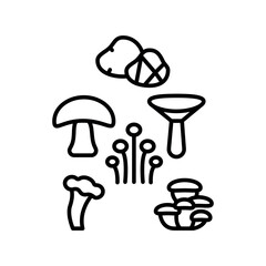 mushrooms variety black line icon for digital and print projects.