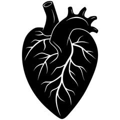 Black anatomical heart silhouette with white veins
