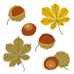 Set of autumn leaves and chestnut fruits. A vector illustration in flat style on a white background.