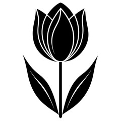 Black tulip flower silhouette white