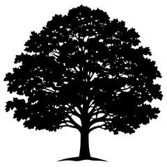 Large oak tree silhouette black vector white background