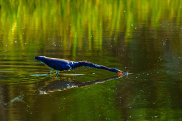 You cant be afraid to stick your neck out