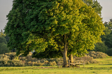 Lentevreugd, National park in Wassenaar, The Netherlands