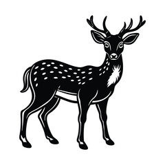 Wild Deer with Antlers Black and White Vector