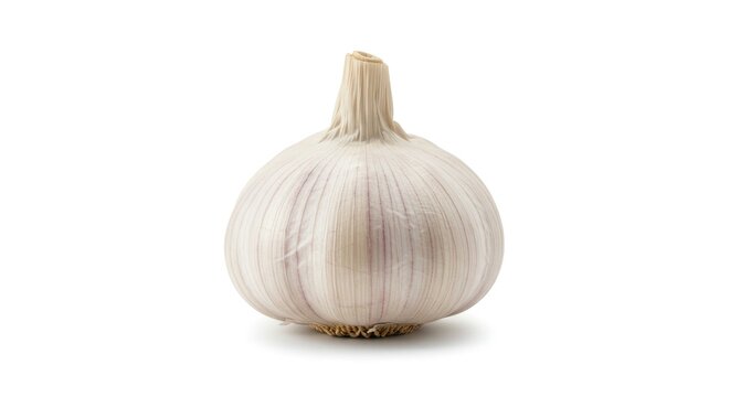A whole garlic bulb is centered against a pure white background