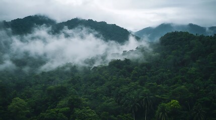 Rising temperatures and deforestation are placing tropical rainforests under pressure, altering their natural balance and biodiversity.

