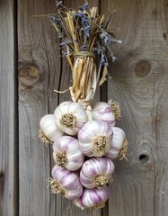 A bundle of garlic bulbs is hanging against a weathered wooden background. The garlic is tied...