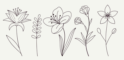 Line Art Floral Designs: Six Simple Flower Illustrations