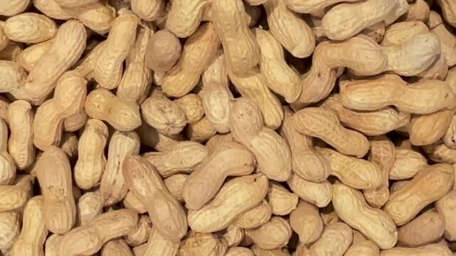 Peanuts in their shells arranged as a background, tracking shot in top view on peanuts