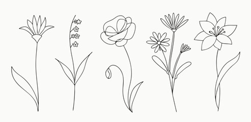 Line Art Flower Drawings: Six Simple Floral Illustrations
