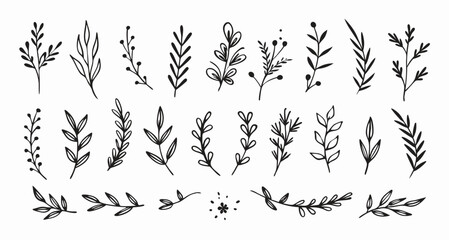 Hand-Drawn Floral Elements: Botanical Line Art Set for Design
