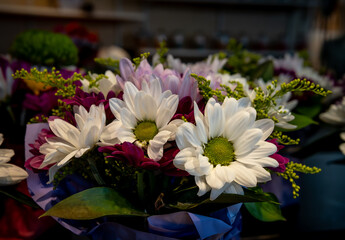 Beautiful flowers under soft light.