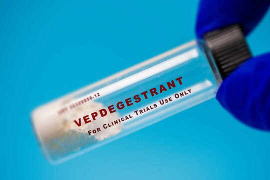 Vepdegestrant Breast cancer (ER-positive, HER2-negative)