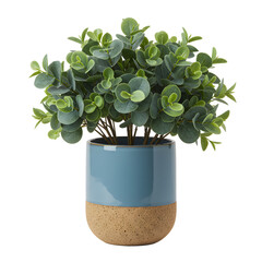 image of an artificial eucalyptus plant with round green leaves, arranged in a modern, blue ceramic pot with a natural textured brown base