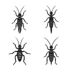 silhouette earwig detailed with antennae forward set