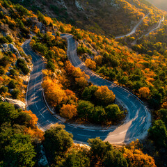 Aerial View of a Winding Road Surrounded by Vibrant Autumn Foliage in Warm Sunlight