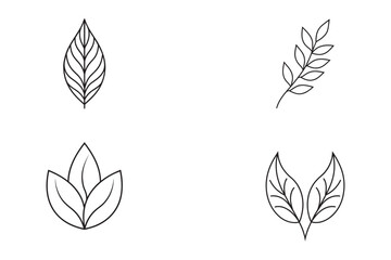 line art curled mint leaf design  set bundle on white background