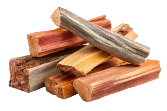 Gathering colorful firewood for outdoor bonfire forest nature close-up. Isolated on transparent background, png.
