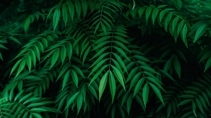 Natural Jungle Leaves Background,Green tropical leaves with natural texture and overlapping patterns. Ideal for backgrounds, eco-friendly concepts, or botanical designs.