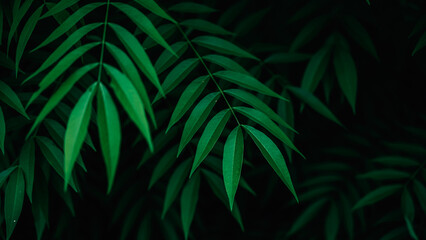 Natural Jungle Leaves Background,Green tropical leaves with natural texture and overlapping patterns. Ideal for backgrounds, eco-friendly concepts, or botanical designs.