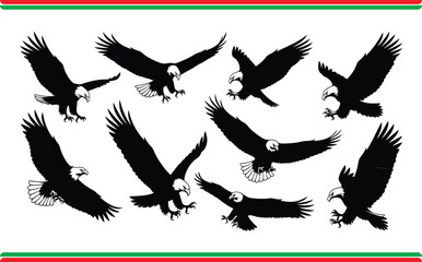 Flying Eagle Collection