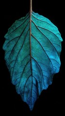 Vibrant Blue-Tinted Leaf Against a Dark Background for Nature Lovers