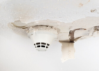 Pipe burst in ceiling dripping out of a smoke detector. Active water leak with drywall falling off...