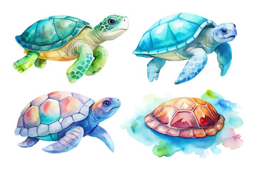 Fototapeta premium set of watercolor Turtle vector illustration isolated on white background