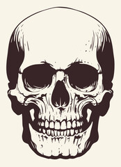 Fototapeta premium A detailed black and white illustration of a human skull, showcasing intricate contours, nasal cavity, cheekbones,
