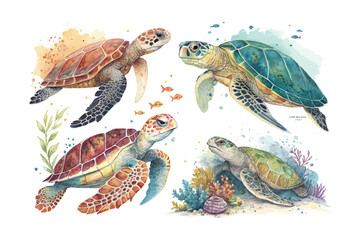 set of watercolor Turtle vector illustration isolated on white background