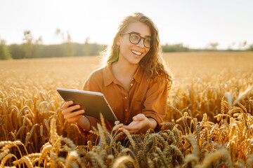 A beautiful female farmer with a digital tablet in a golden wheat field. A female agronomist checks...