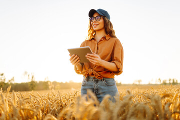 A beautiful female farmer with a digital tablet in a golden wheat field. A female agronomist checks the quality and growth of crops in an agricultural field. Concept of technology, rich harvest.