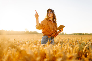 A beautiful female farmer with a digital tablet in a golden wheat field. A female agronomist checks...