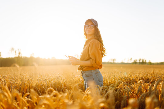 A beautiful female farmer with a digital tablet in a golden wheat field. A female agronomist checks the quality and growth of crops in an agricultural field. Concept of technology, rich harvest.