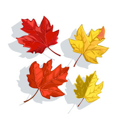 New Simple flat 2D icon of autumn leaves top view set isolated on a white background, vector design, ideal for animation, vector, web design, digital illustrations, and minimalist design, clipart