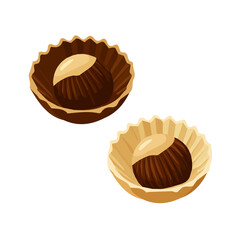 Simple flat 2D Two chestnut and shell isometric set illustration, vector clipart isolated on a transparent background — clean animation-style design, created by me