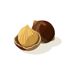 Simple flat 2D chestnut and shell isometric set illustration, vector clipart isolated on a transparent background — clean animation-style design, created by me