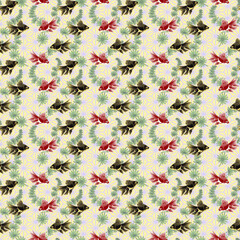 金魚 1-2