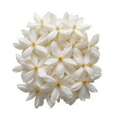 Fototapeta premium Cluster Of White Flowers With Yellow Centers Transparent Background Bouquet