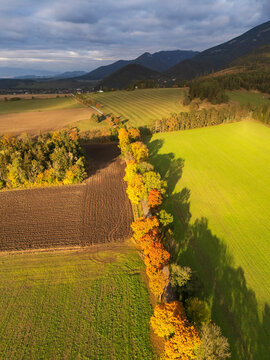 Aerial view of golden light caressing the autumn fields and forest edges beneath the dramatic sky, Mosovce, Slovakia.