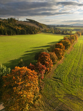 Aerial view of a vibrant tapestry of fall foliage and verdant fields, painting a picturesque landscape in the heart of Mosovce, Slovakia.