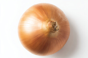 a onion on a white surface with a white background