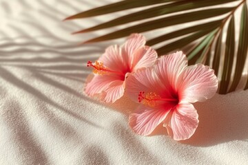 Tropical Elegance: Pink Hibiscus Blooms with Palm Shadows on Sunlit Sand