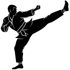 Obraz premium Karate fighter executing high kick martial arts